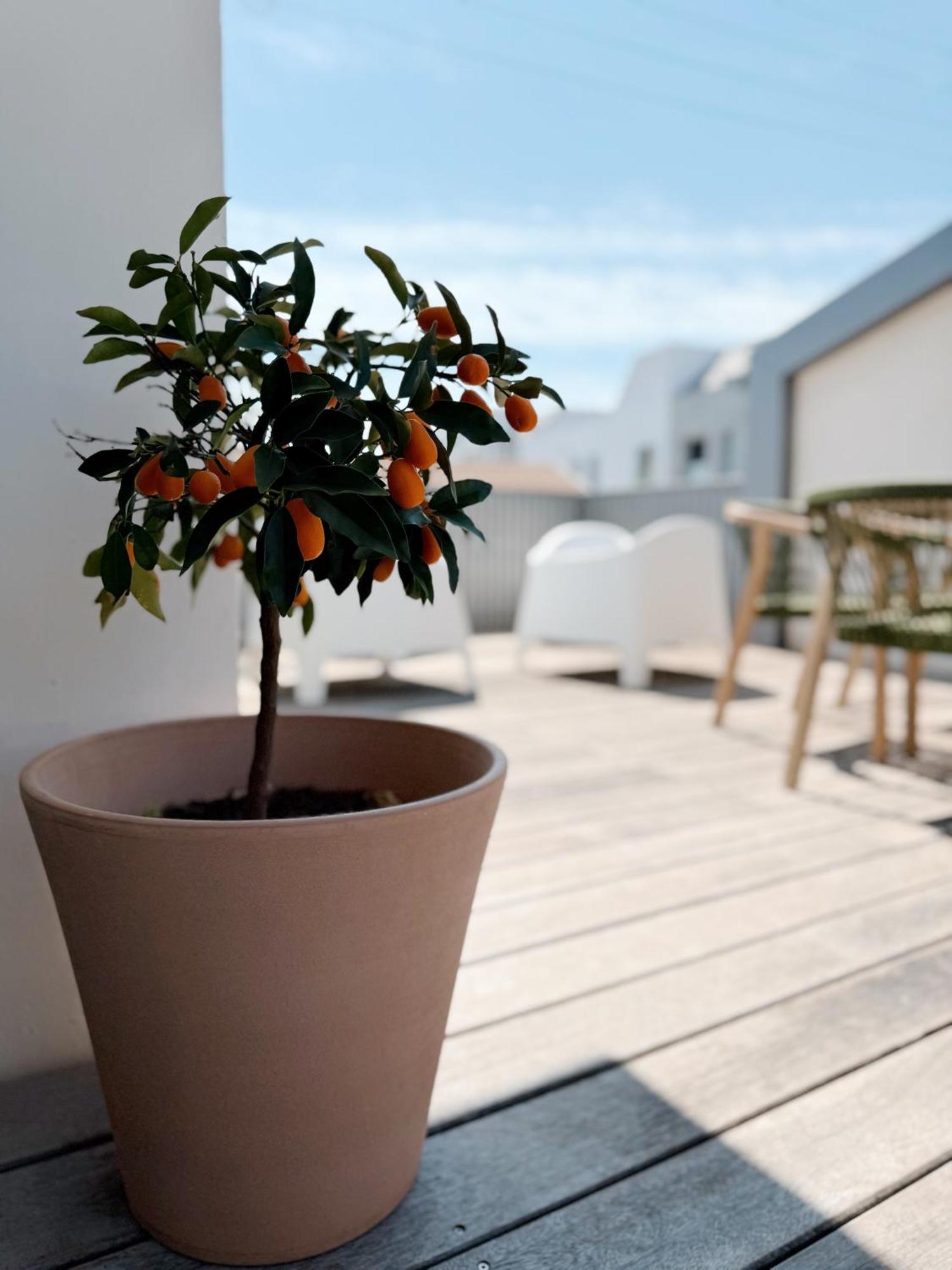 Villa Rompsay La Rochelle  Ngoại thất bức ảnh
